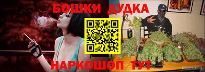 прущие крисы Шахты