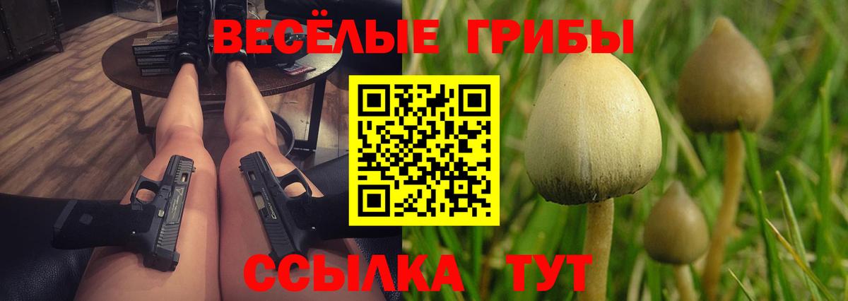Псилоцибиновые грибы прущие грибы Борзя