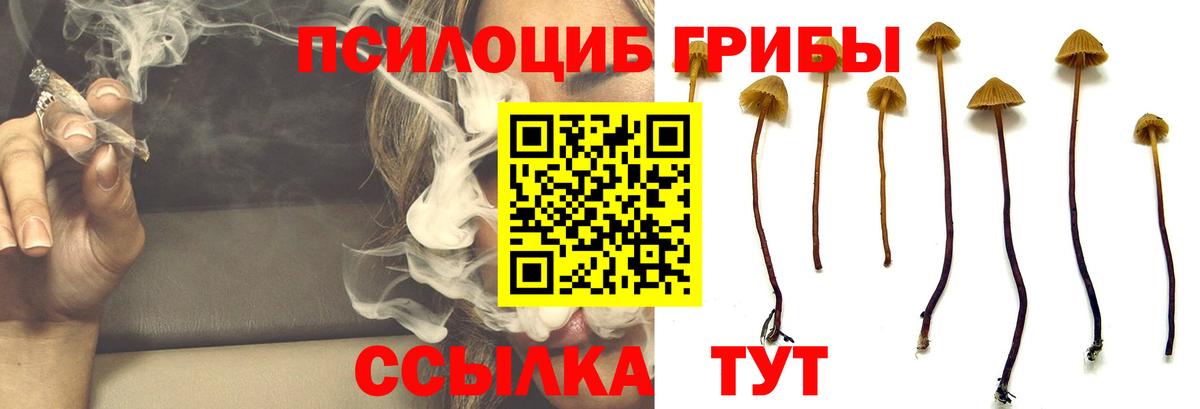 Мефедрон Борзя